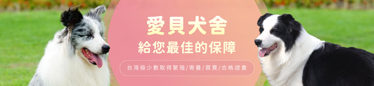 1300X300_r1_c1.jpg